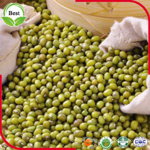 Detoxification! ! High Quality Green Mung Bean